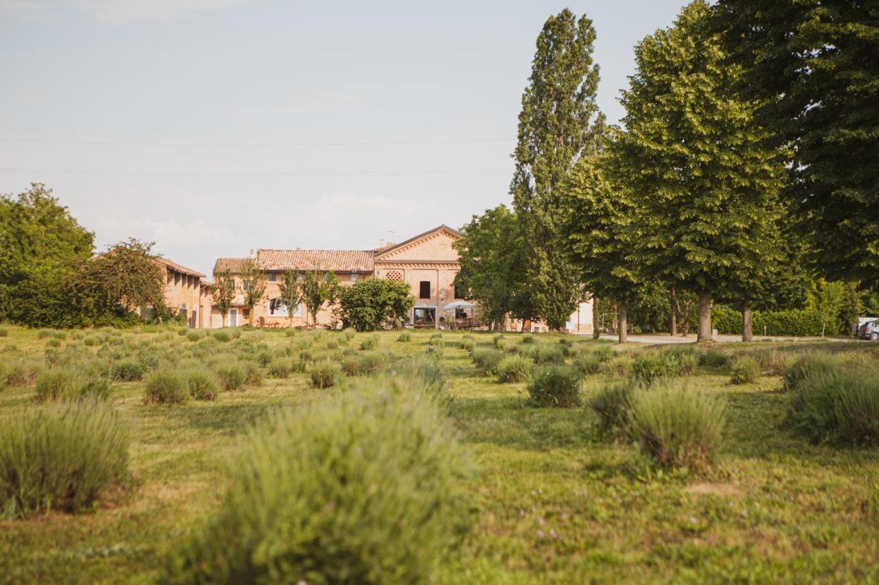 Agriturismo Il Capitolo Carpaneto Piacentino Экстерьер фото